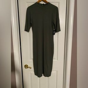 Express form fitting dress